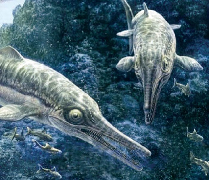 Ихтиозавр, живший в конце мелового периода